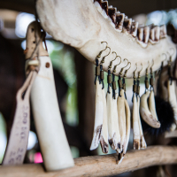 Close-up of a display of traditional bone and teeth jewelry at the 2015 Kilkim Žaibu festival. The central focus is on a jawbone from which various small, curved teeth hang, each attached with metal hooks. Additional bone ornaments are seen on the left, all arranged on wooden rods in a rustic setting.