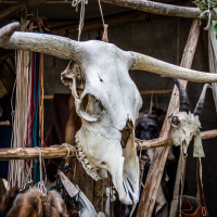 A large white cow skull with long, curved horns is prominently displayed, hanging from a rope in an outdoor market. Various animal pelts and leather goods are visible in the background, suggesting a rustic and traditional setting reminiscent of Kilkim Žaibu 2015. The scene is framed by wooden beams and greenery.