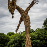 A large outdoor sculpture made of intertwined branches and straw resembling an abstract, leaning humanoid figure with elongated limbs and a downward-pointing head. Set against dense green foliage and an overcast sky, this striking piece was a highlight of the 2015 Kilkim Žaibu festival.