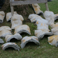 Numerous plaster casts resembling human torsos are arranged on the grass near the base of a tree. Some are propped up against the trunk. The casts, part of an art project titled "Laba Daba 2011," vary in detail and finish, creating a compelling visual narrative.