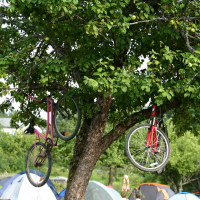 Bicycles hang from the branches of a leafy tree in the foreground. Multiple camping tents are pitched on the grass in the background, with people visible around the tents. The scene, reminiscent of a 2011 Laba campsite, is set in a green, outdoor area, bustling with activity.