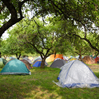 A campsite with numerous colorful tents scattered under tall, leafy trees. The tents, which vary in color including blue, green, orange, and gray, resemble a scene from the 2011 Laba festival. The grassy ground is dappled with sunlight filtering through the dense canopy above, creating a serene and shaded environment.