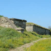 An overgrown path leads to a dilapidated concrete bunker in Liepāja, remnants of past military defenses, set against a clear blue sky with wildflowers dotting the foreground in a peaceful