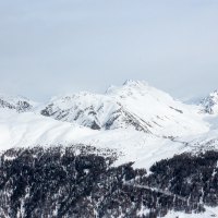 A tranquil snowy landscape in Livigno showcases a vast mountain range with peaks partly cloaked in clouds, the forest in the foreground contrasting against the pristine white slopes.