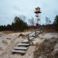 A wooden walkway leads up a sandy dune towards Mazirbe's tall, rusty observation tower. The tower is surrounded by sparse trees and bushes under an overcast sky. The landscape is wintery, with bare branches and a muted color palette, creating a serene, desolate atmosphere.