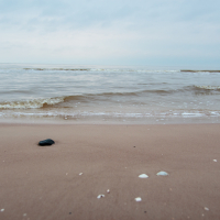 A tranquil beach scene in Mazirbe unfolds as gentle waves wash onto a sandy shore under a cloudy sky. The wet sand is smooth, with a black stone prominently in the foreground. Small white shells scatter near the water’s edge, creating a peaceful, natural setting.