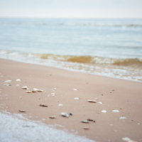 A calm Mazirbe beach scene with gentle waves lapping at a sandy shore. The sand is speckled with small shells and pebbles. The ocean horizon blends into a hazy sky, creating a tranquil atmosphere. The lighting is soft and subdued, giving a peaceful feel to the setting.