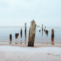 Wooden posts protrude from the calm, shallow sea near Mazirbe, arranged in irregular rows. The sandy beach in the foreground has a light dusting of snow, with a small pine branch on the left. The overcast sky hints at a cold, tranquil winter day at this picturesque seaside location.