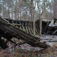 Amidst the towering trees of Mazirbe, a decaying wooden shipwreck lies forgotten. The vessel's hull is broken and fragmented, cloaked in moss and vegetation. Fallen leaves and branches blanket the ground, echoing nature's silent reclamation of this abandoned relic.