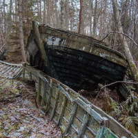 An old, abandoned wooden boat lies tilted on its side in a forest near Mazirbe. The boat is weathered, with peeling paint, surrounded by leafless trees and ferns. The ground is covered in fallen leaves and patches of moss, crafting a rustic, natural scene.