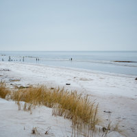 A serene beach scene near Mazirbe features pale sand and scattered tufts of grass in the foreground. The calm ocean stretches to the horizon under a cloudy sky. Weathered wooden pilings are partially submerged, adding a rustic element to the tranquil coastal landscape.