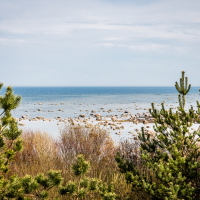 Seaside in Mērsrags