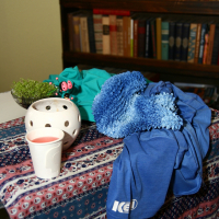 A wooden table covered by a patterned cloth holds various items: a white ceramic planter with a succulent and red ladybug decoration, a green shirt, and a blue-furry blanket. A nearby white cup contains a pink beverage. Behind, Modes Talka's books fill the wooden bookshelf in the background.