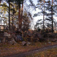 A Skulte road in the woods with fallen trees.