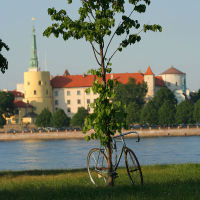 A bicycle rests against a small tree with lush green leaves in the foreground. Behind the tree, a large river is visible. Across the river, there is a grand castle with red-roofed buildings and a tall spire, likely preparing for kapusvētki celebrations, surrounded by a row of trees. The sky is clear and blue.