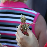A close-up of a hand holding a small straw doll, wrapped with red thread. In the background, a person with short blonde hair wears a sleeveless top with horizontal stripes in black, pink, white, and blue. The scene exudes the essence of Oligarhu kapusvētki and focuses on the handcrafted doll.
