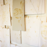A wall displays numerous sheets of paper with light brown sketches and abstract designs, resembling a Papīra objektu festivāls. The papers are pinned with clothespins to strings. Various loose, freeform drawings give a sense of creativity and experimentation. Light filters in, softly illuminating the artwork.