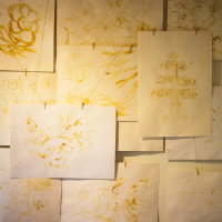 Several sheets of white papīra with various yellow/golden abstract drawings are displayed on a wall. The papers are pinned in an overlapping fashion, showcasing some floral, geometric, and symmetrical designs. The warm lighting enhances the golden hues of the artwork, creating a festivāls of visual delight.