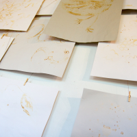 Several sheets of paper with various light brown ink sketches are pinned to a wall. The sketches include abstract and incomplete drawings, reminiscent of works from the Papīra objektu festivāls. The pages overlap slightly, creating a layered appearance, secured by small wooden clips attached to a string on the wall.