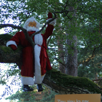A Santa Claus figure in a red suit and white beard is sitting on a tree branch outdoors surrounded by greenery, playing a guitar. In the bottom right corner, there is a text box with Latvian text that reads, “Zinu, zinu, ka nav Ziemassvētki, bet man arī patīk laba mūzika..”. This scene feels like an AB 200