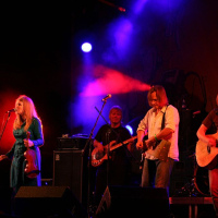 A musical band performs on stage under purple and red lights at the 2008 Positivus festival. The group includes a woman holding a violin and microphone, with three men playing guitar, bass, and acoustic guitar. In the background, a large banner displays "AB," contributing to the scene's energetic, lively atmosphere.