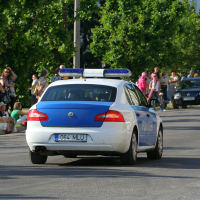 A police car with a blue and white paint scheme drives away on a tree-lined street. The license plate reads "064 MLU." A crowd of people, reminiscent of a lively punk gathering, stands on the left sidewalk, some sitting and some standing, watching the scene. Several parked cars are visible to the right. The weather is sunny.