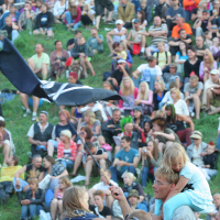 A large crowd is seated on a grassy hillside at an outdoor event. In the foreground, a man with a young child on his shoulders waves a black flag featuring a white "X" and a skull and crossbones symbol. It feels like Laulupidu meets Punk, with people dressed in casual summer clothing, including t-shirts, shorts, and hats.