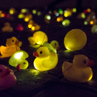 Several yellow rubber ducks, some with glowing lights inside, are scattered on a dark surface. The ducks are illuminated, creating a warm and whimsical atmosphere reminiscent of Rīga Staro 2012. In the foreground, a pink rubber duck is also visible as the background fades into darkness with more glowing ducks scattered around.