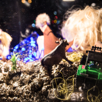 A whimsical diorama featuring a blonde doll in a pink dress and headband, toy animals, and a small green tractor. The background is a mix of twinkling Staro 2012 lights and a large, disheveled wig. The scene has an imaginative and playful atmosphere with figurines placed on a rocky, textured surface.