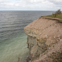 A crumbling cliff on Saaremaa overlooks a calm sea, underscored by erosion, with sparse vegetation on the brink, under a cloudy sky.