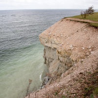 A precipitous chalk cliff on Saaremaa Island overlooks the calm sea, with a grassy verge hinting at coastal erosion, under an overcast sky.