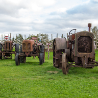 Rustic, vintage tractors rest in a green field on Saaremaa, hinting at agricultural history against a backdrop of trellised vines under a cloudy sky.