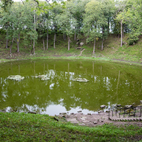 A tranquil, secluded pond nestled among verdant trees in a lush forest setting on Saaremaa, with a small staircase leading down to the water's edge, hints of reflections in the still green