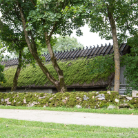 An old-fashioned house with a thatched roof partially covered in moss, behind a rustic stone fence, nestled among verdant trees in Saaremaa, Estonia's tranquil rural setting.