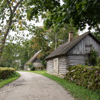 A serene rural scene on Saaremaa Island with a gravel path meandering between quaint, moss-covered stone fences and traditional wooden cottages, nestled amidst lush trees.