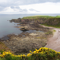 A tranquil bay featuring a curved sandy beach flanked by rugged cliffs, with yellow wildflowers in the foreground, overlooking a calm sea under a partially cloudy sky in Scotland.