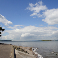 A serene coastal scene in Scotland with a curving road paralleling the shoreline, lined by trees swaying in the breeze, under a vast blue sky dotted with fluffy clouds.