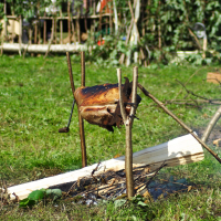 A whole roasted meat is being cooked on a makeshift spit over an open fire in an outdoor setting. The spit, reminiscent of Semigallian days, is constructed from two wooden stakes holding the meat in place. A grassy area surrounds the fire, with green foliage and blurred structures in the background.