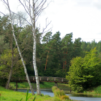 A serene landscape with a quiet river meandering through lush greenery during the Semigallian days. Tall birch trees with white bark stand near the water's edge. A wooden footbridge crosses the river in the midground, while dense forest with evergreen trees forms the background under a cloudy 2008 sky.
