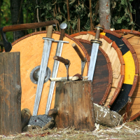 A group of medieval wooden shields with metal rims and various swords lean against tree trunks. In front are two logs, one with a medieval axe embedded and the other with a pair of gauntlets resting on it. The setting appears rustic, likely at Semigallian Days 2008, a historical reenactment or camp.