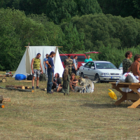 People are gathered at a campsite with white tents during the 2008 Semigallian Days event. Some are sitting at wooden picnic tables, while others are standing or sitting on the ground. A few dogs are present. Logs and camping gear are scattered around, and a silver car is parked nearby. The area is surrounded by trees and grass.