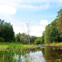 A tranquil park features a clear pond reflecting the surrounding greenery and a blue sky with a few white clouds. Tall grasses and reeds line the pond's edge, and trees, including a striking bare white birch, frame the scene. In the backdrop of this serene setting, you can almost imagine it hosting an event like Semigallian Days 2008.