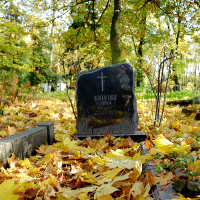 A gravestone surrounded by leaves in St. Martin's cemetery.
