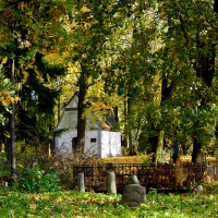 St. Martin's cemetery is surrounded by trees and a church.