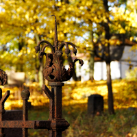 A rusty fence in St. Martin's cemetery.