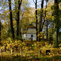 A white house surrounded by trees near the St. Martin's cemetery.
