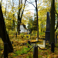 A cluster of St. Martin's cemetery gravestones amidst a wooded area.