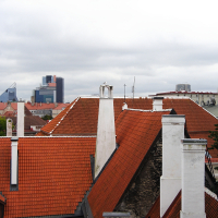 The roofs in Tallinn are red.