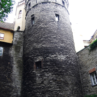 A tall stone tower in Tallinn with a tree in front of it.