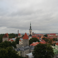 A view of Tallinn from the top of a hill.